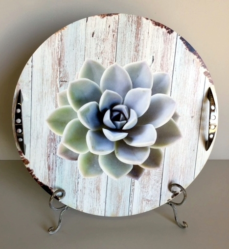 Platter Round Succulent