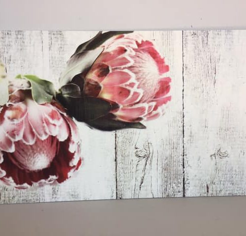 Placemats set of 4 WOOD – 2 Proteas