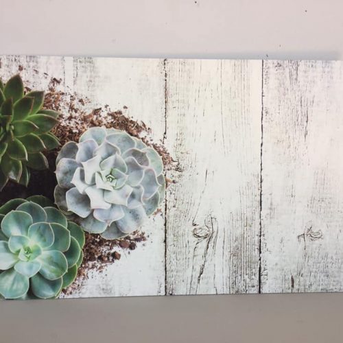 Placemats set of 4 – Succulent