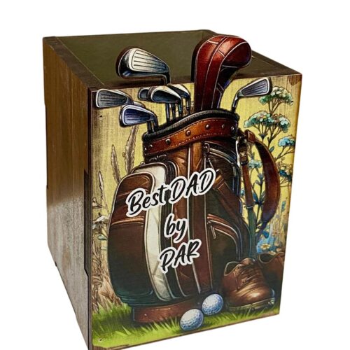 Small Box Best Dad Golf 2025