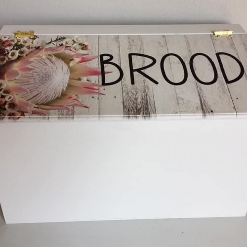 Breadbin King Protea (Photo)