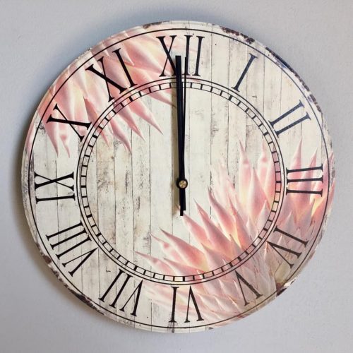 Clock King Protea (Photo)