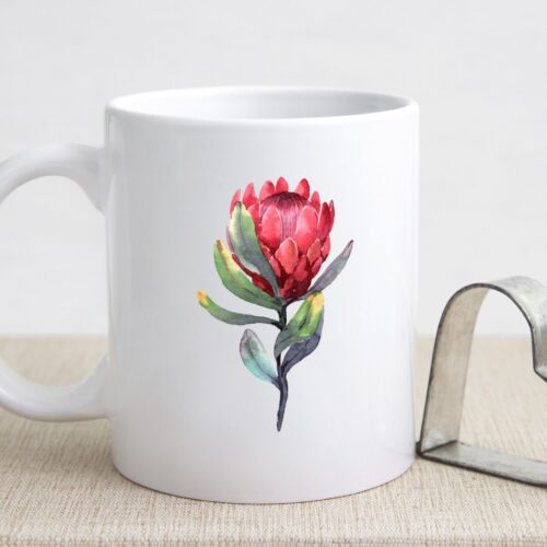 Beker – Dark Protea