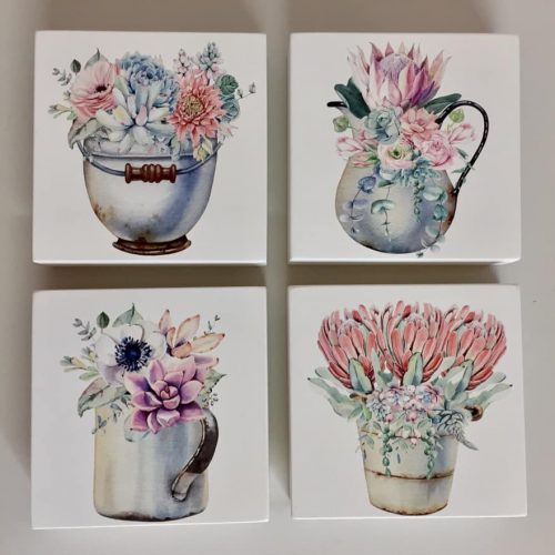 Set of 4 mini canvas Protea Succulent