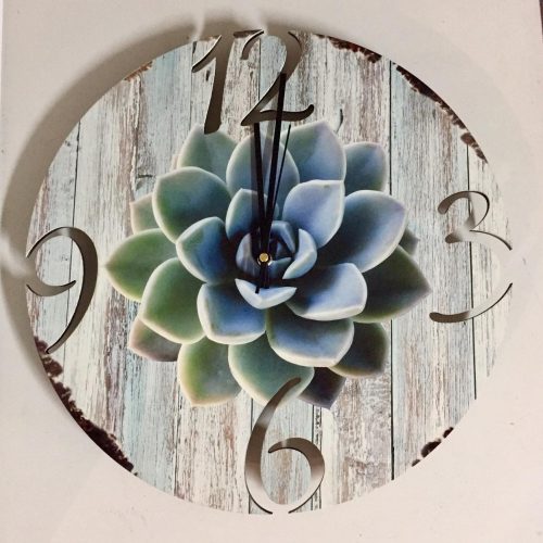 Succulent Clock (Cutout) 40cm