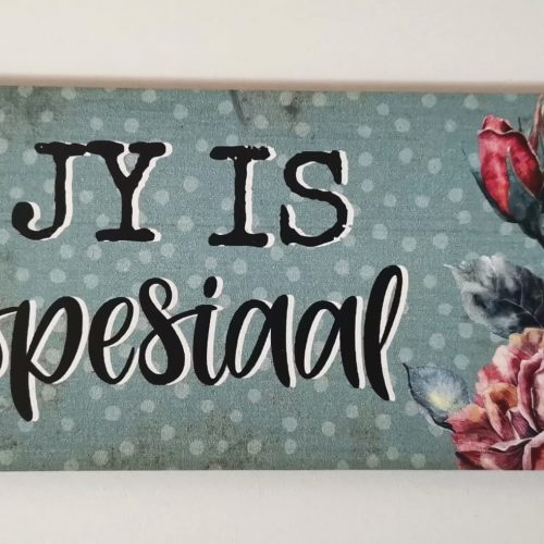 Fridge Magnet – Jy is spesiaal