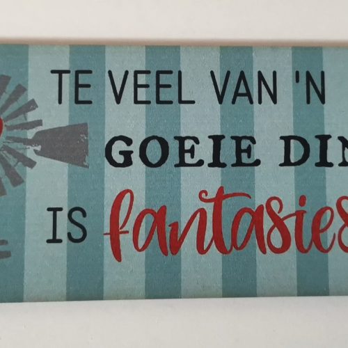 Fridge Magnet – Te veel van ‘n goeie ding