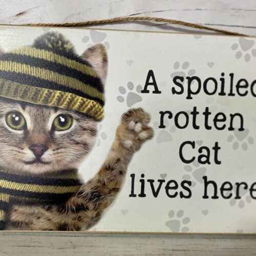 Small Sign (A4) – Spoiled Cat 2023
