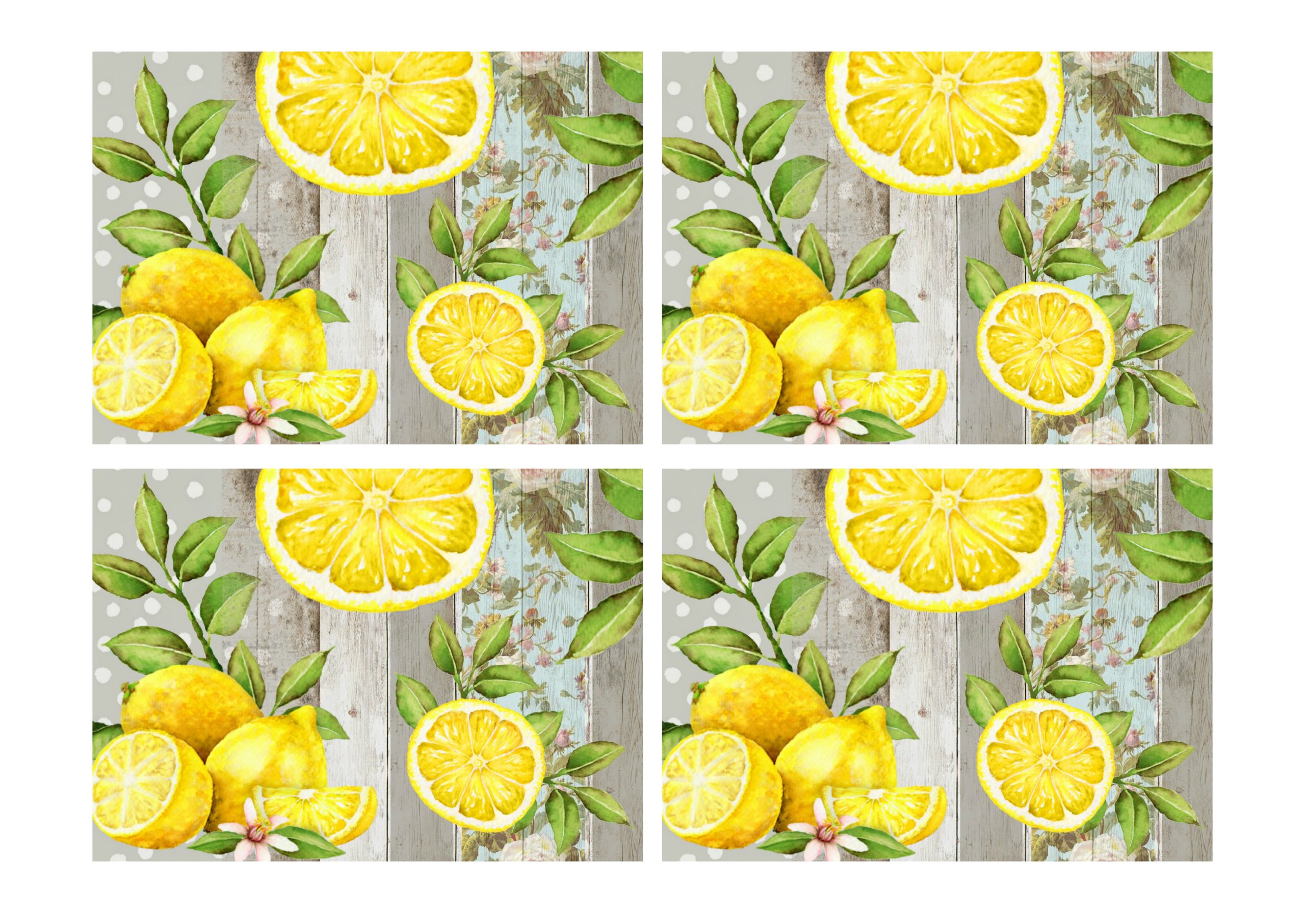 Lemon Vinyl Placemats Set of 4