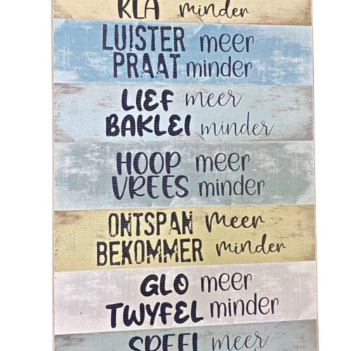 Droom Meer Sign 25x40cm 2023